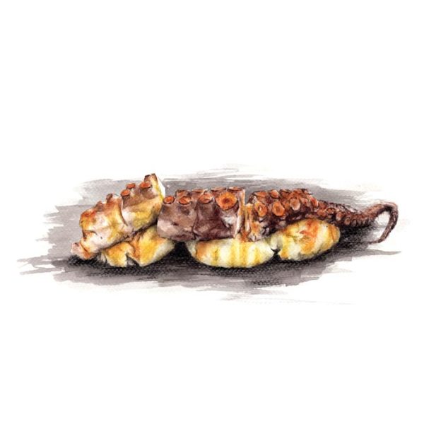 Pulpo